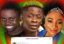 Peller, Shatta Wale, QueenLet