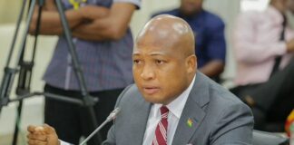 Samuel Okudzeto Ablakwa